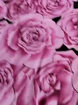 sana-5 online show from April 14, 5:07 pm