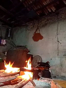 TinTin321 online show from October 22, 11:42 am