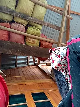 TinTin321 online show from October 24, 2:32 am