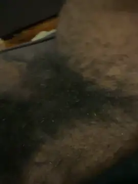 BigBDMari online show from February 5, 2:29 am