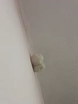 Snapshot of saranghae_ chatting on February 28, 3:39 am saranghae online show from February 28, 3:39 am