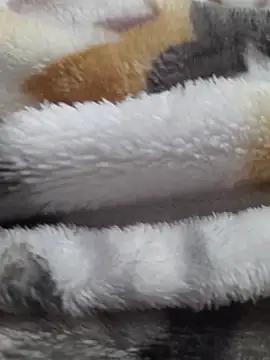 ratoncito 3 online show from February 23, 5:24 pm