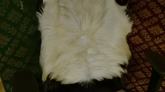 JUSTFORRICH online show from April 20, 3:46 pm