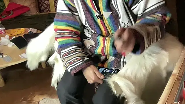 JUSTFORRICH online show from December 23, 2:44 am