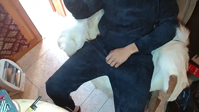 JUSTFORRICH online show from January 7, 2:11 pm