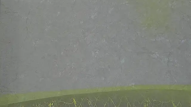 Snapshot of Draven_Marceaux chatting on July 3, 11:28 am Draven Marceaux online show from July 3, 11:28 am