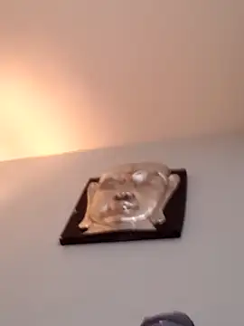 djcarey369159 online show from April 5, 9:10 pm