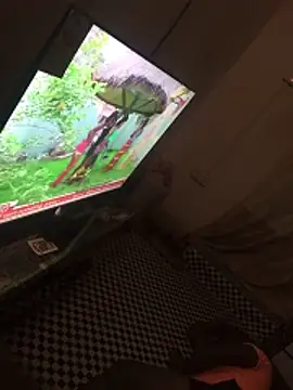 candospiriy online show from February 23, 3:52 am