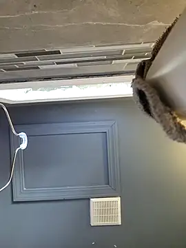 chocolate bella online show from March 28, 12:50 pm