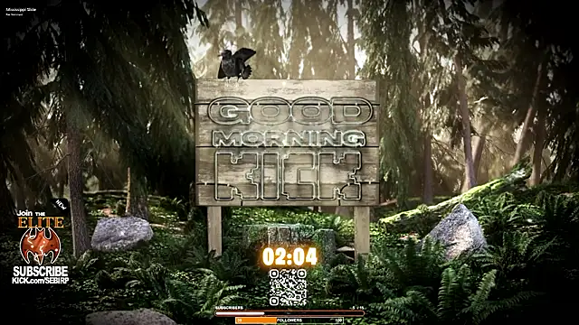 Snapshot of sebirp chatting on February 3, 11:43 pm sebirp online show from February 3, 11:43 pm