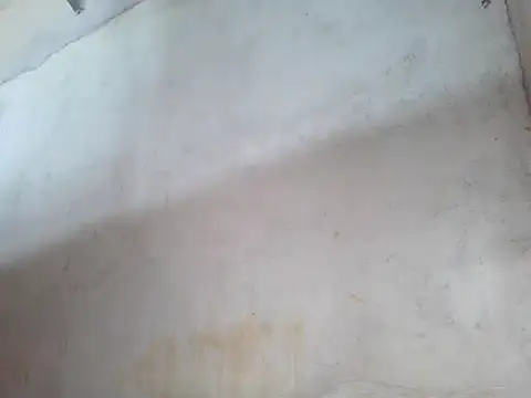 star ass online show from October 19, 11:51 pm