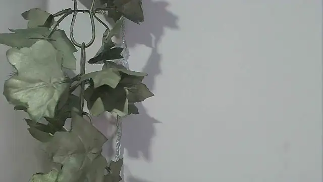 Snapshot of angelainparis28 chatting on November 17, 8:24 pm angelainparis28 online show from November 17, 8:24 pm