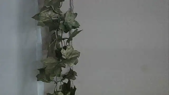 Snapshot of angelainparis28 chatting on December 2, 5:09 am angelainparis28 online show from December 2, 5:09 am