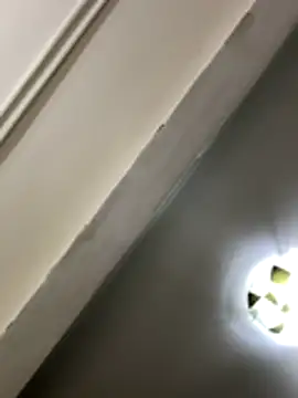 lynn9000 online show from November 29, 9:09 am