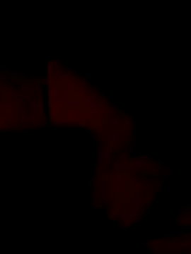 Snapshot of Bulbasaurisme chatting on June 21, 5:24 am Bulbasaurisme online show from June 21, 5:24 am