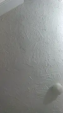 Bulbasaurisme online show from September 26, 1:23 am