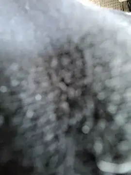 Snapshot of giova17cm chatting on June 19, 12:55 pm giova17cm online show from June 19, 12:55 pm