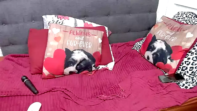 chockclitx5 online show from February 17, 2:31 am