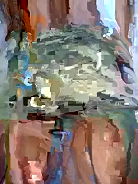 Steehood online show from January 15, 2:48 am