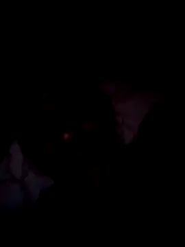 Steehood online show from January 10, 5:47 am