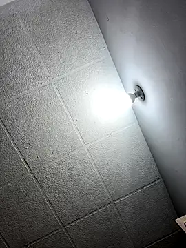 Snapshot of LICEET chatting on November 20, 11:47 pm LICEET online show from November 20, 11:47 pm