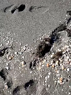 sarahkat86 online show from November 14, 6:33 pm