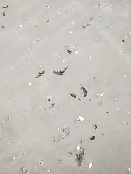 sarahkat86 online show from April 6, 4:52 pm