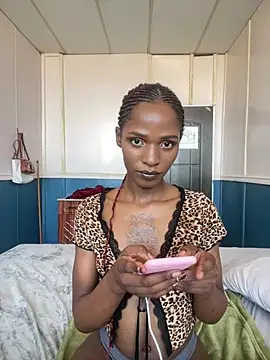 Trans fairy online show from February 28, 1:22 pm