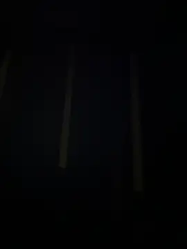 Trans fairy online show from March 23, 6:08 pm