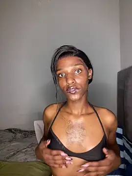 Trans fairy online show from March 18, 7:04 pm