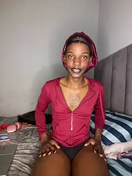 Trans fairy online show from April 21, 2:14 am