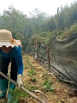 ngocngoc cute online show from April 15, 3:56 am