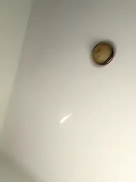 lilcubangoddess online show from October 28, 2:27 pm