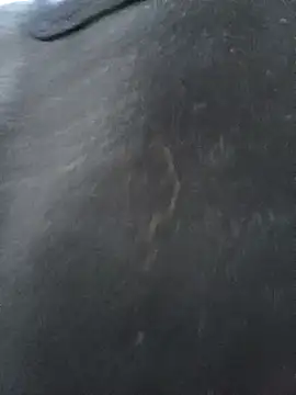 CWQ123 online show from November 17, 11:36 am