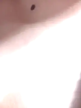 LINA-DALOUA online show from November 28, 3:12 pm