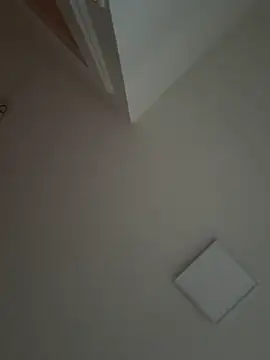 Gipsyboysteve online show from November 16, 3:17 pm