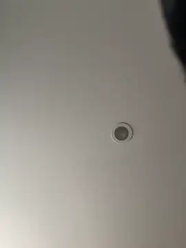 Snapshot of Gipsyboysteve chatting on February 5, 2:57 pm Gipsyboysteve online show from February 5, 2:57 pm