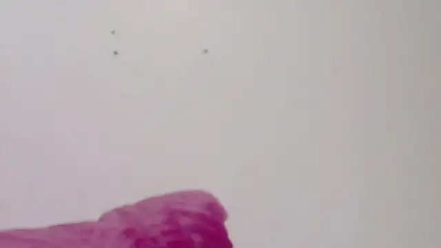 habdiela online show from February 18, 3:04 am