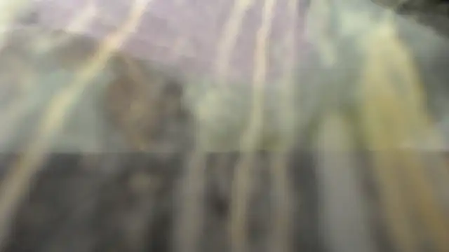 habdiela online show from October 28, 4:46 am