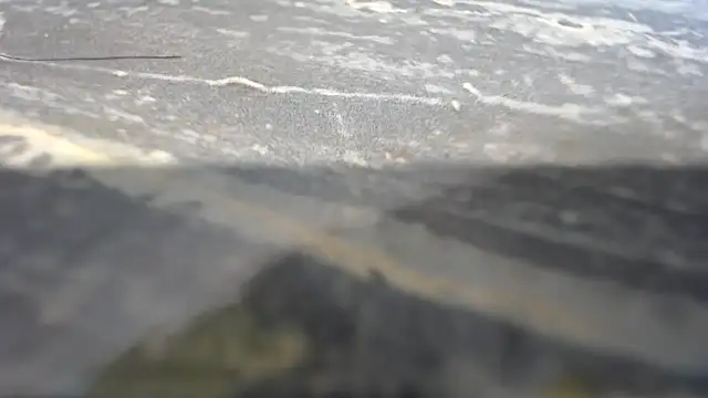 habdiela online show from September 13, 12:21 am