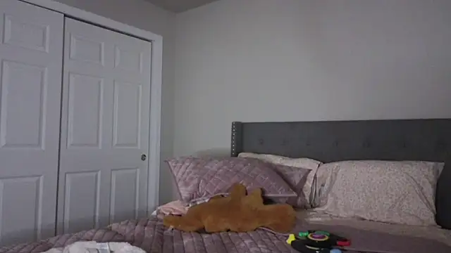 bambifarrina online show from October 2, 1:53 am