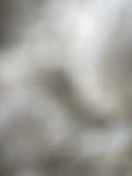 Foxxy Doll online show from February 5, 3:19 pm