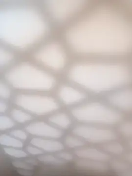 bullut06 online show from January 11, 11:06 am