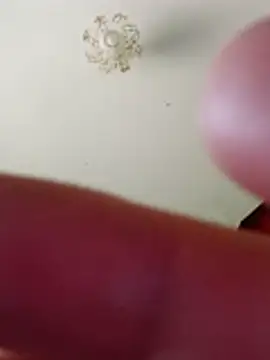 bullut06 online show from February 10, 10:25 am