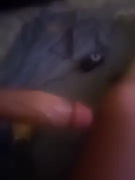 bogdy6969 online show from March 29, 5:25 pm