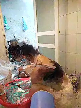 naop04 online show from October 21, 11:15 pm