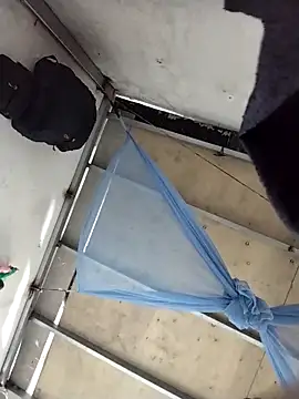 naop04 online show from October 31, 11:11 pm