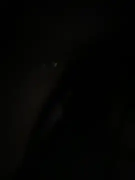 anna yngs online show from November 2, 11:15 am