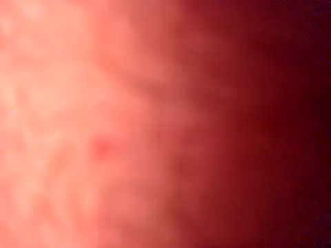 iamthepublickmasterbater online show from April 19, 3:57 pm