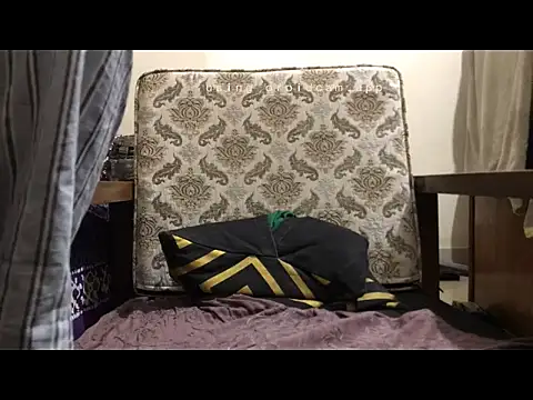 Snapshot of DhakaBabe chatting on October 29, 6:07 pm DhakaBabe online show from October 29, 6:07 pm